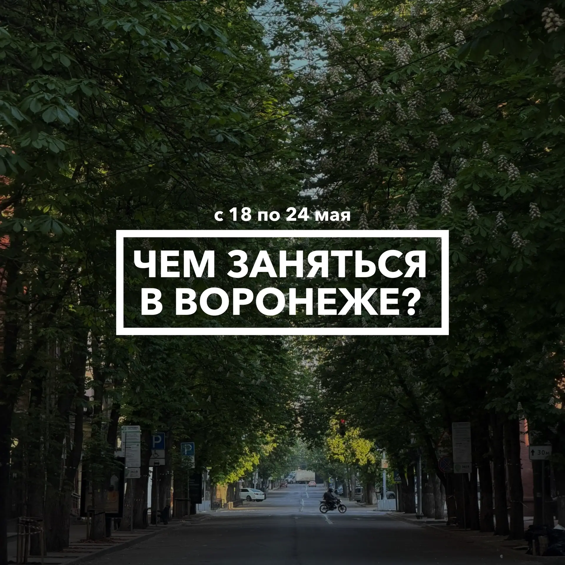 Дайджест событий в Воронеже с 18 по 24 мая 🎊
