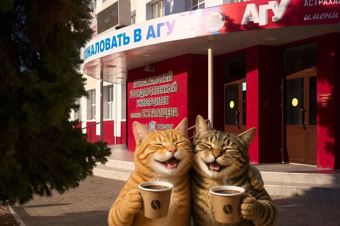 Дайджест