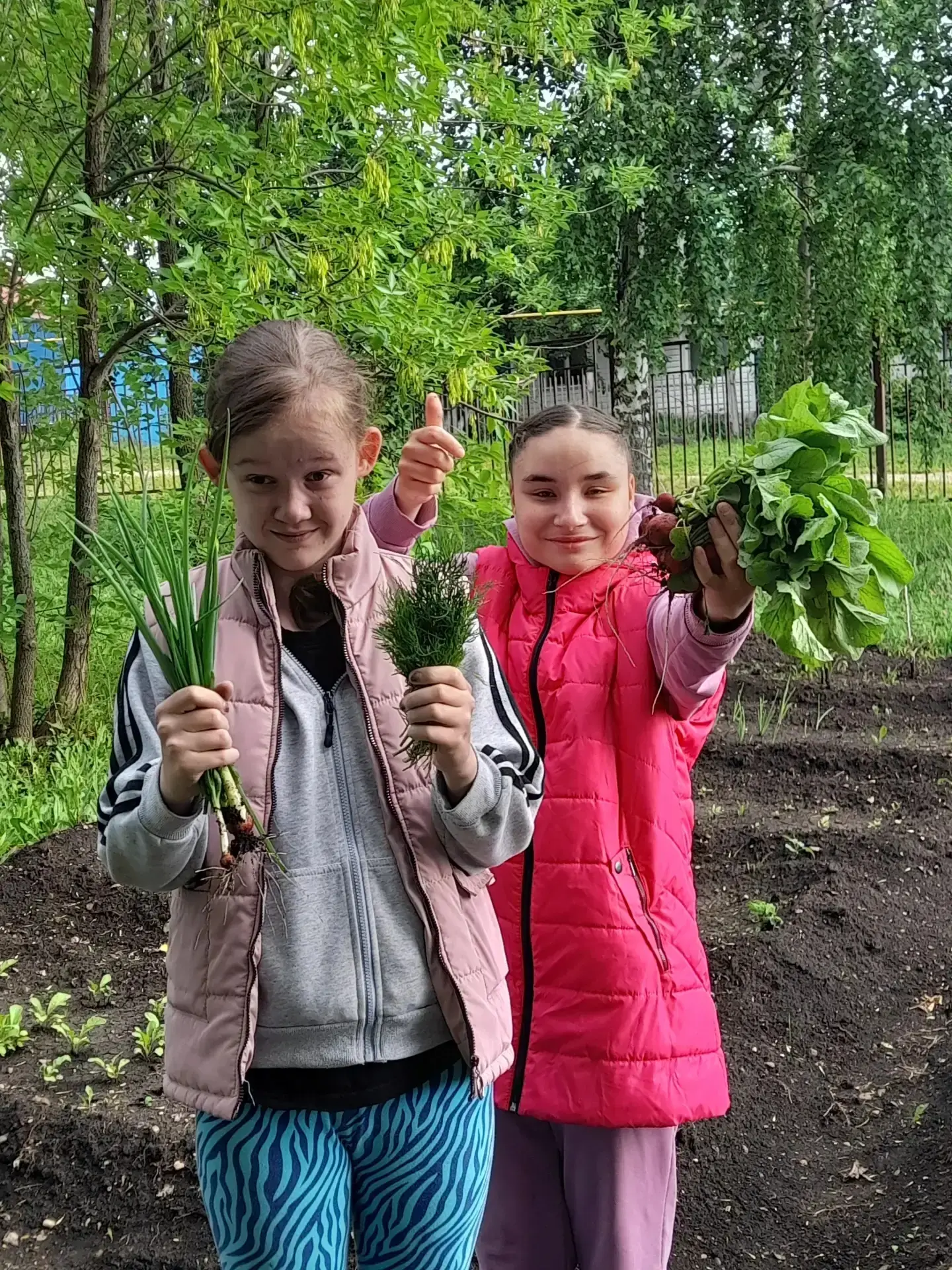 🌱 Первый урожай — гордость и радость!
Арина и Эллина, воспитанницы нашего Центра, собрали первые пл