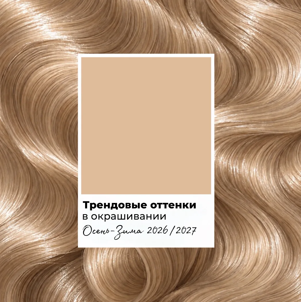 Компания ОLLIN представила