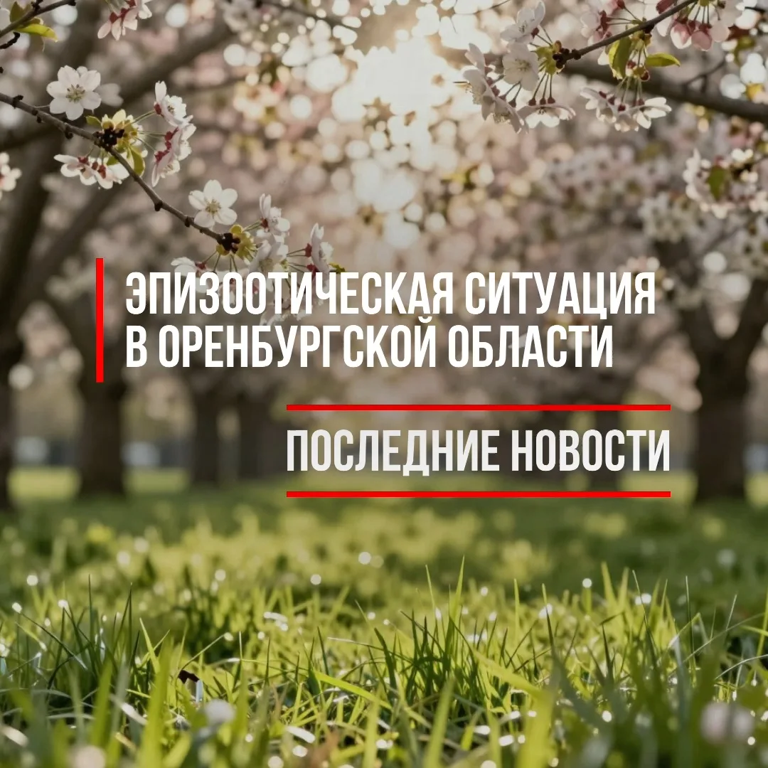 В настоящее время область неблагополучна по ряду инфекционных болезней животных