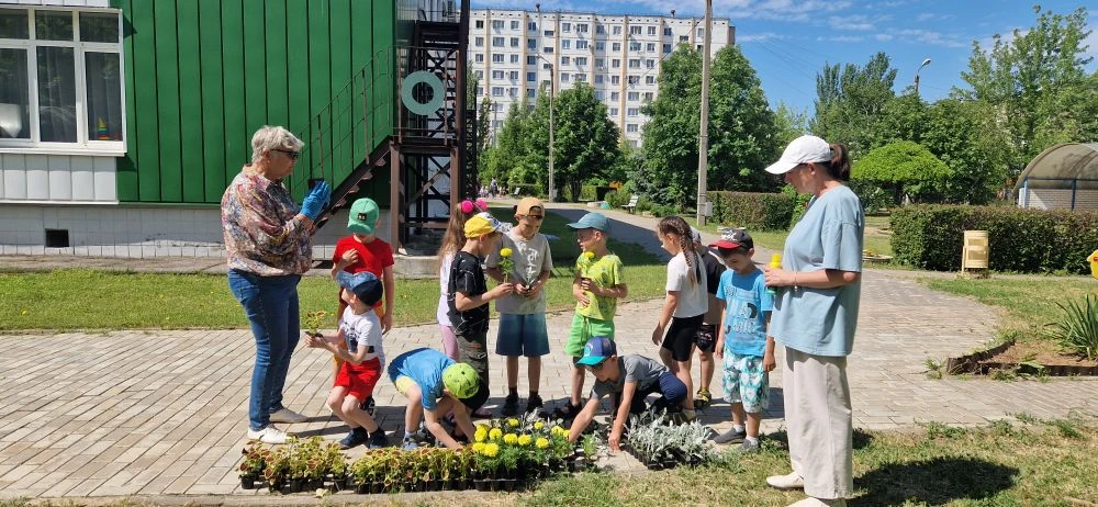 У подножия памятного баннера,в детском саду "Умка", где время замирает, сегодня цвела в...