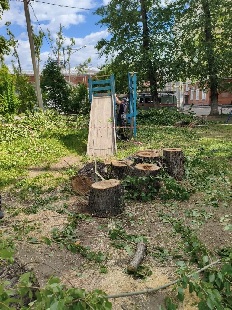 7 июня в результате непогоды произошло падение старых деревьев как в центре Иркутска, так и в спальн