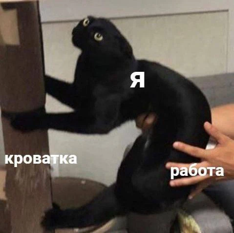 Доброе утро😁