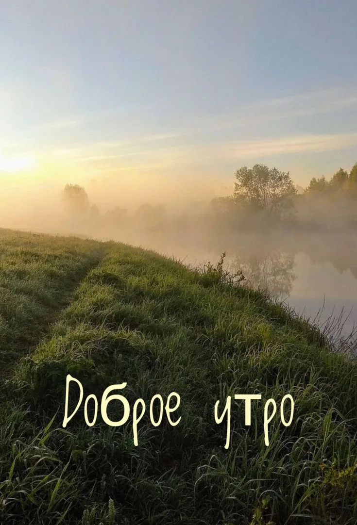 Доброе утро, ЮИ! ☀️  Сегодня четверг — а это значит, что впереди ещё целый день для новых идей, знан