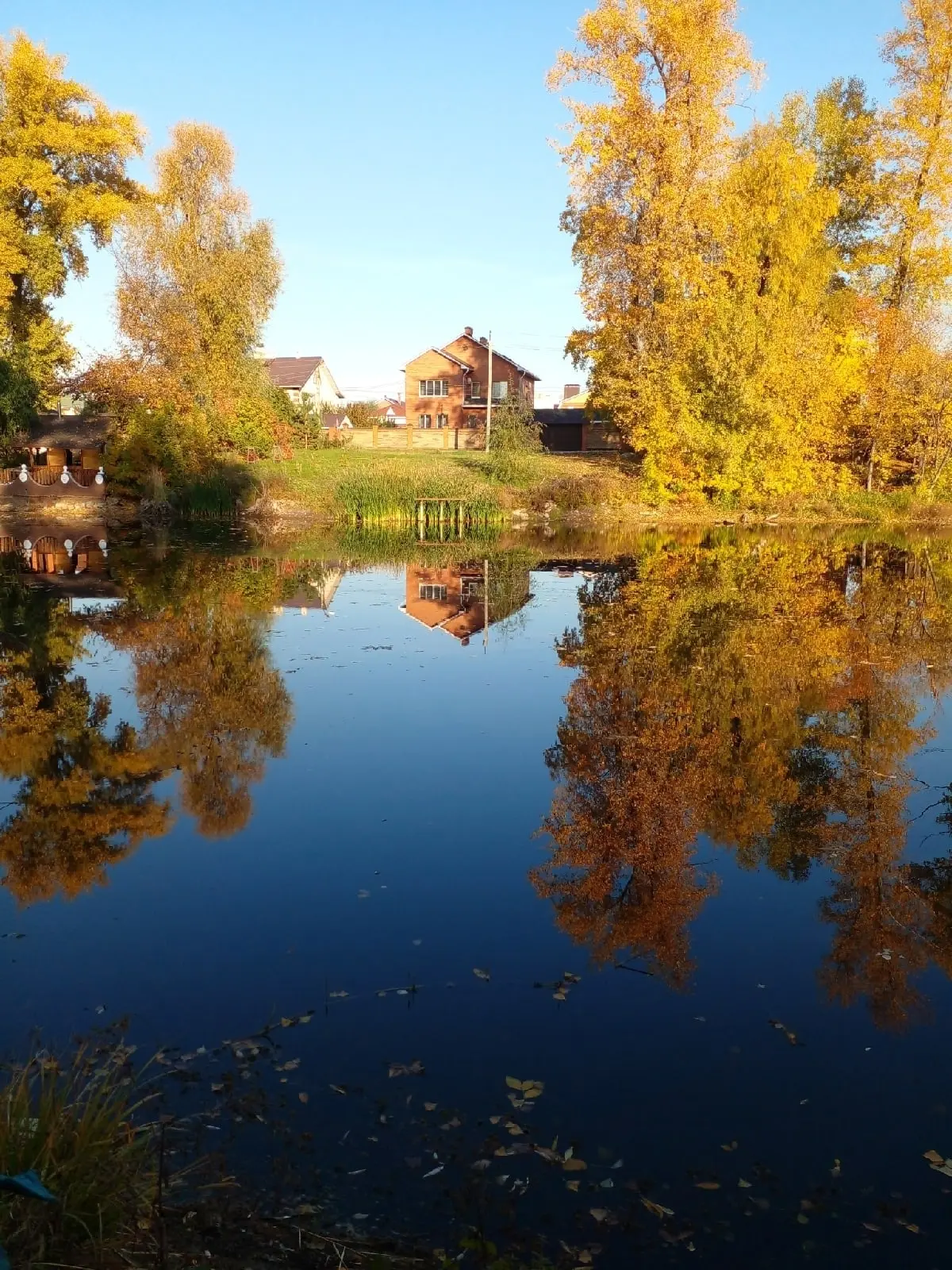 Осень в Волгаре.🍁🍂