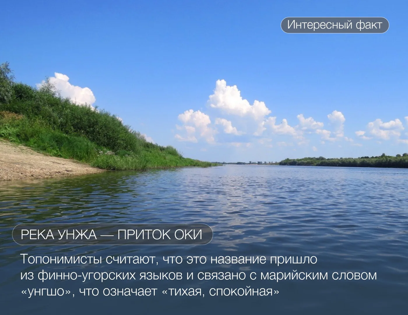 На нашем канале в MAX начинаем серию публикаций о природных богатствах Рязанской области. 

Сегодня 