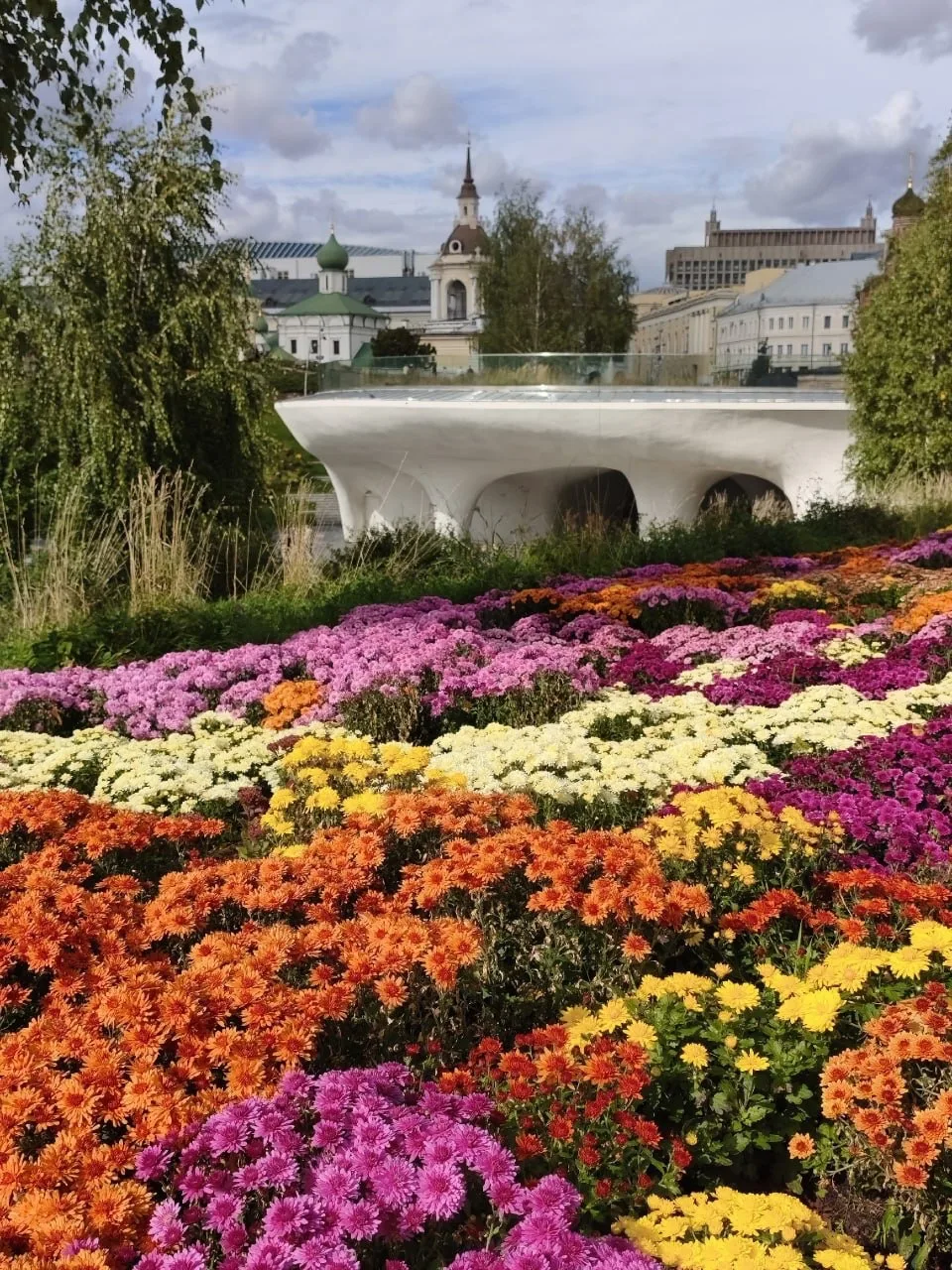 В Зарядье сейчас цветут роскошные хризантемы 🌼