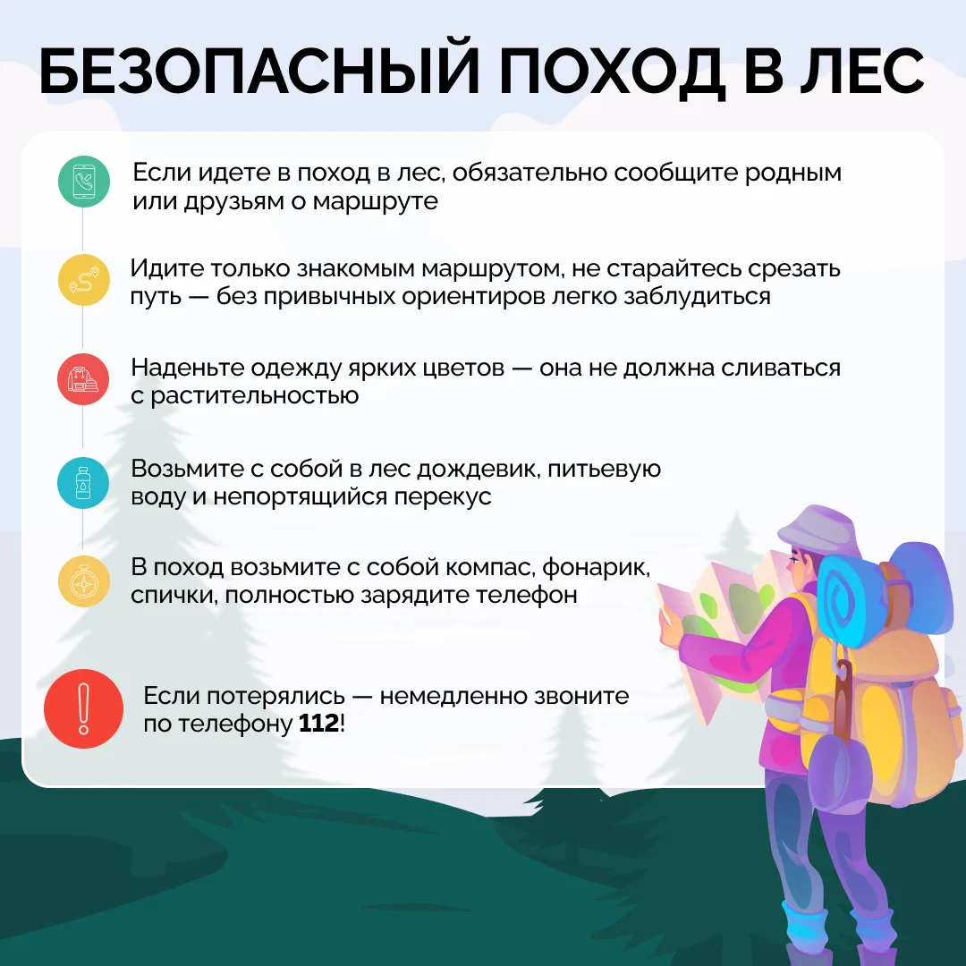 🌲🌳Собираетесь в лес — за грибами, ягодами или просто подышать свежим воздухом?