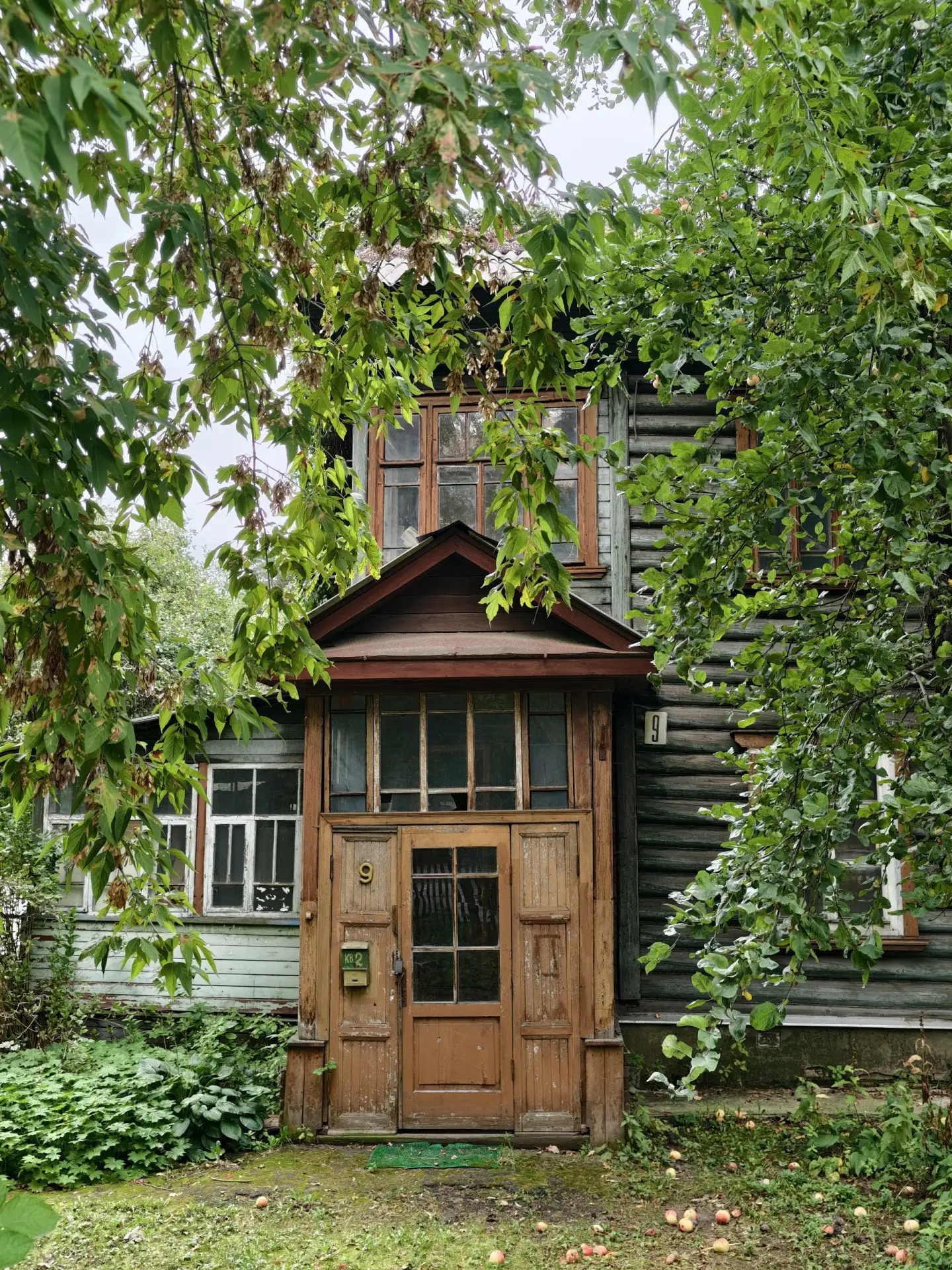 Перловка — дачная 😍