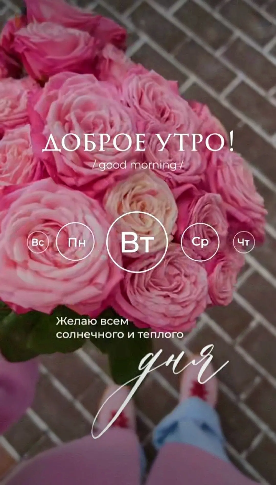 ☕ Доброе утро, Лиман!