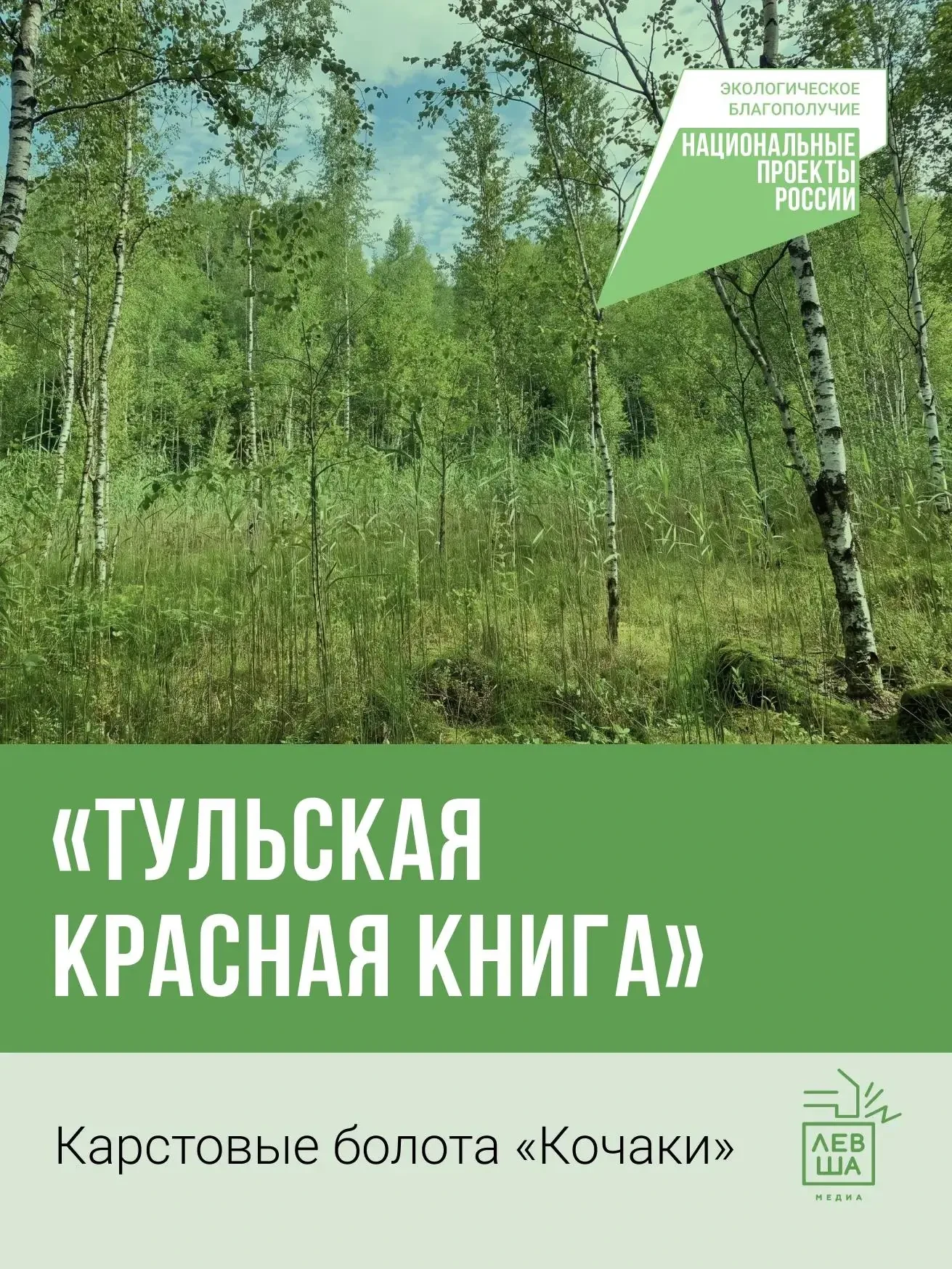 🍄‍🟫Какие редкие растения и грибы растут на карстовых болотах «Кочаки» под Тулой