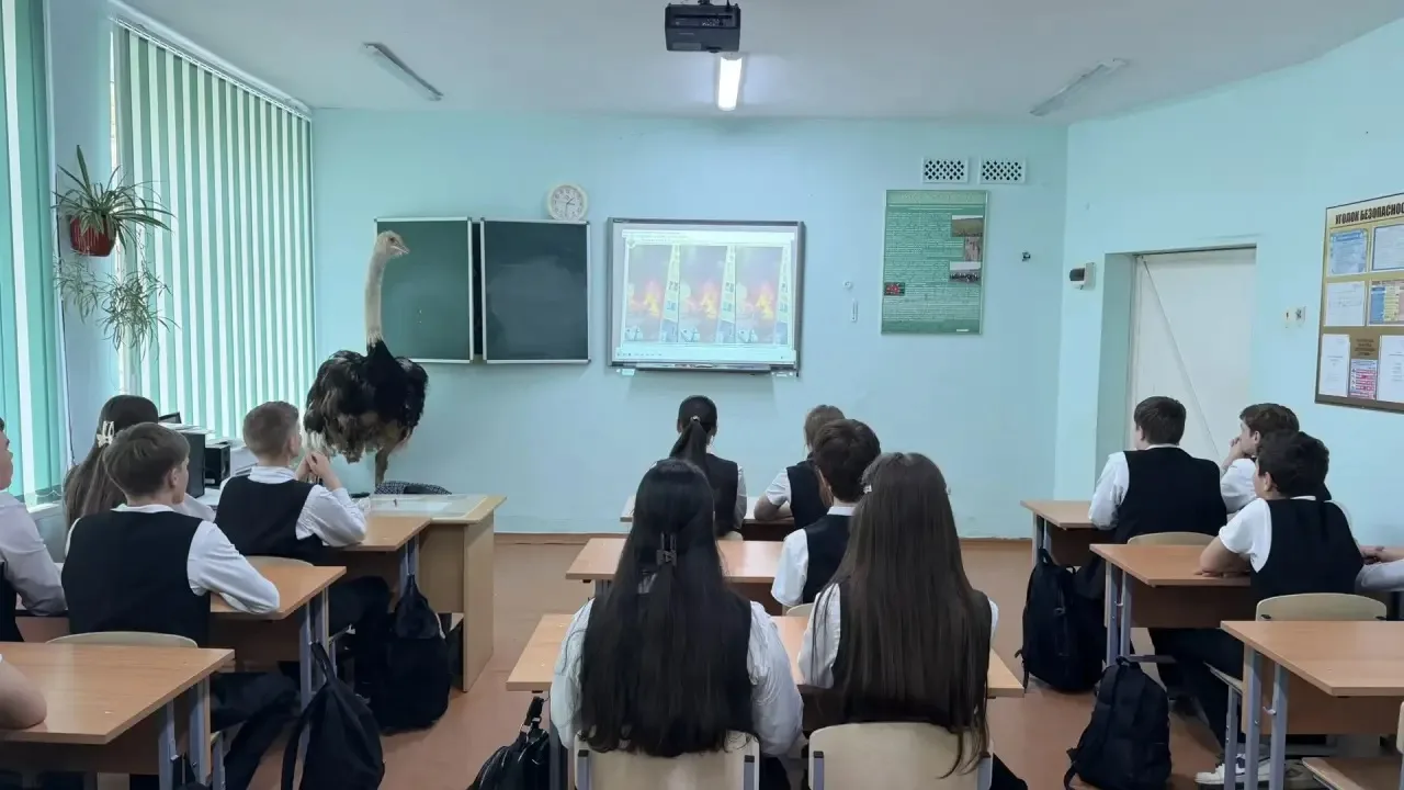 🛡️ Урок безопасности в 8 «Д»: просмотр документального фильма «Недетский террор»  Сегодня в 8 «Д» кл