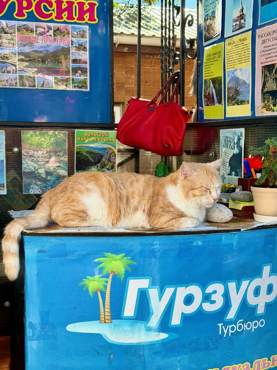 Друзья, доброе выходное утро ☀️