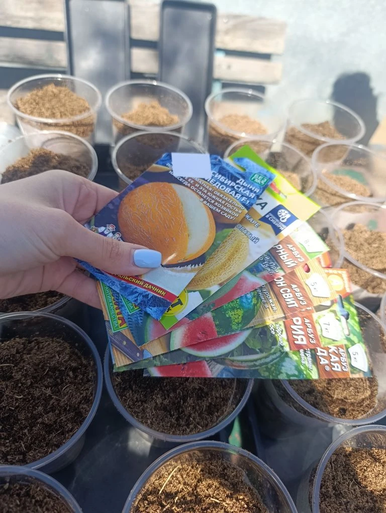 Сажаем 🍉🍈