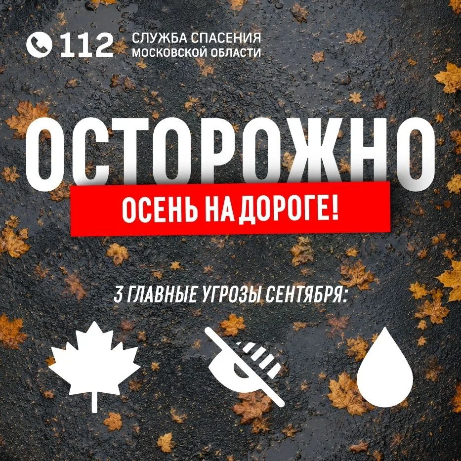 Сентябрь вносит свои коррективы в дорожную обстановку Подмосковья