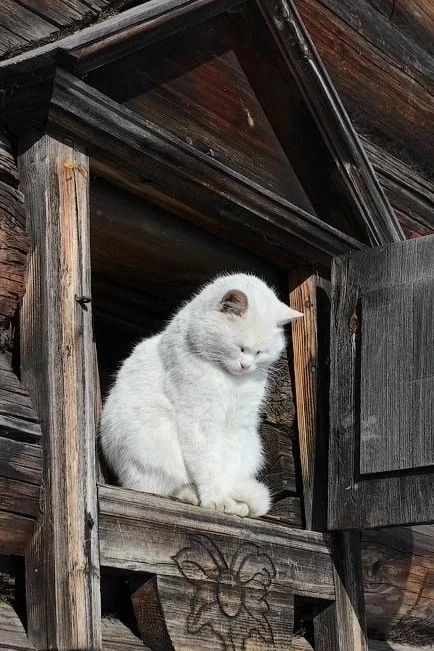 Доброе утро, Кострома 💕 фото: Светлана Гапонюк