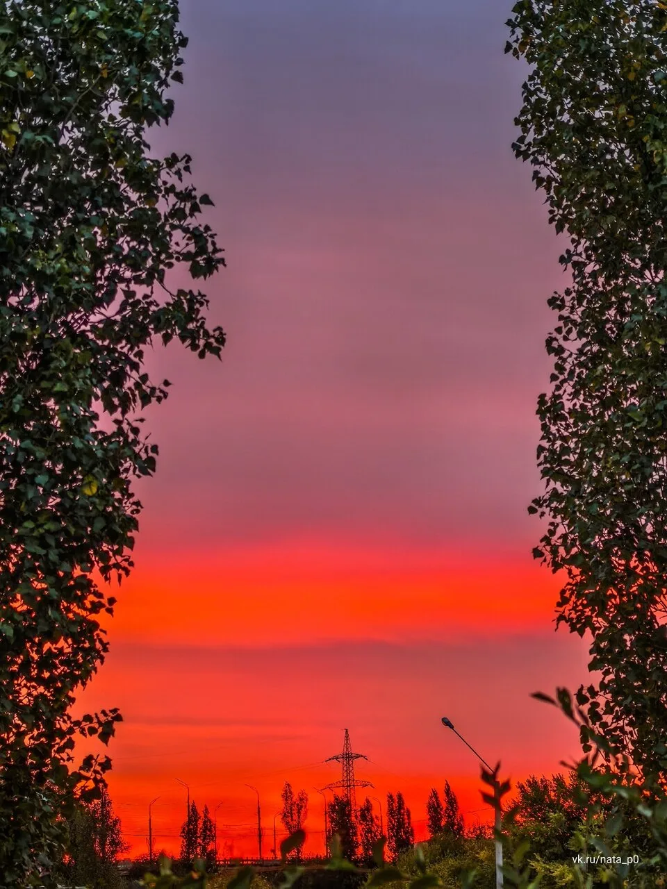 🌆