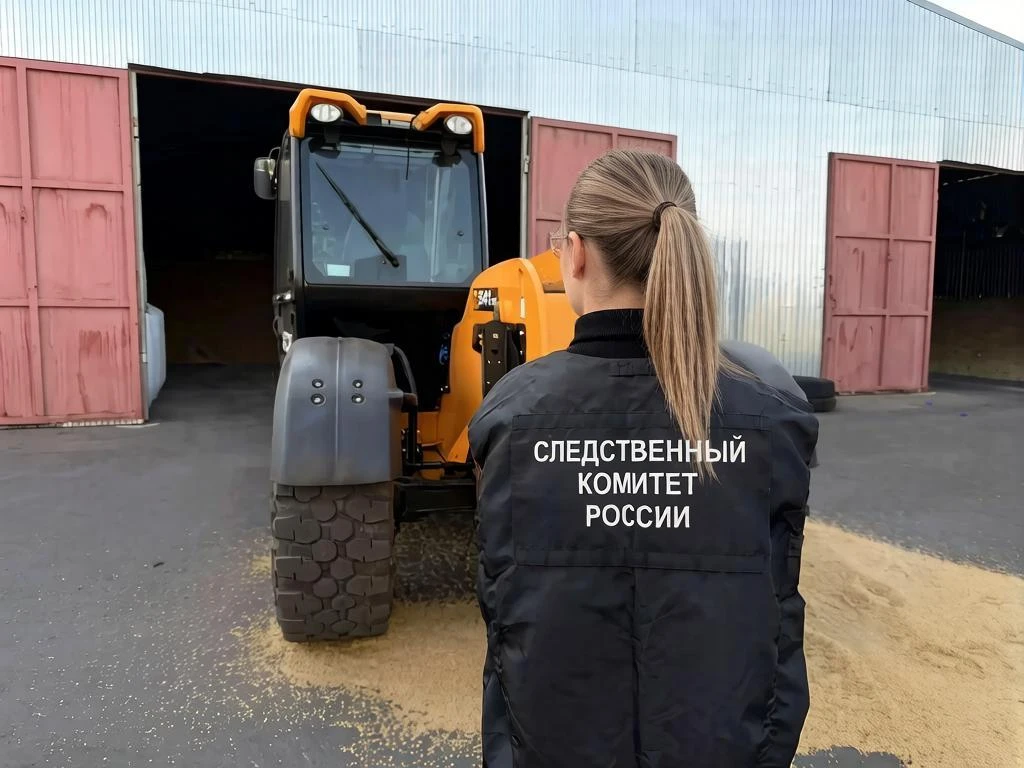 В Сампурском округе завершено расследование уголовного дела о причинении смерти по неос...