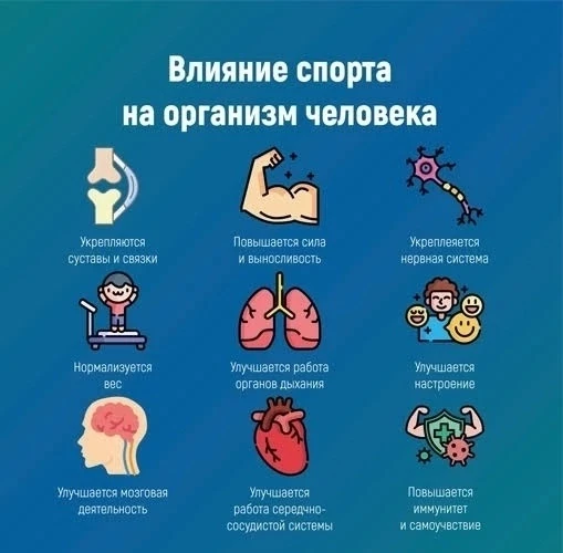 Комплексное воздействие на организм физической активности⬇️