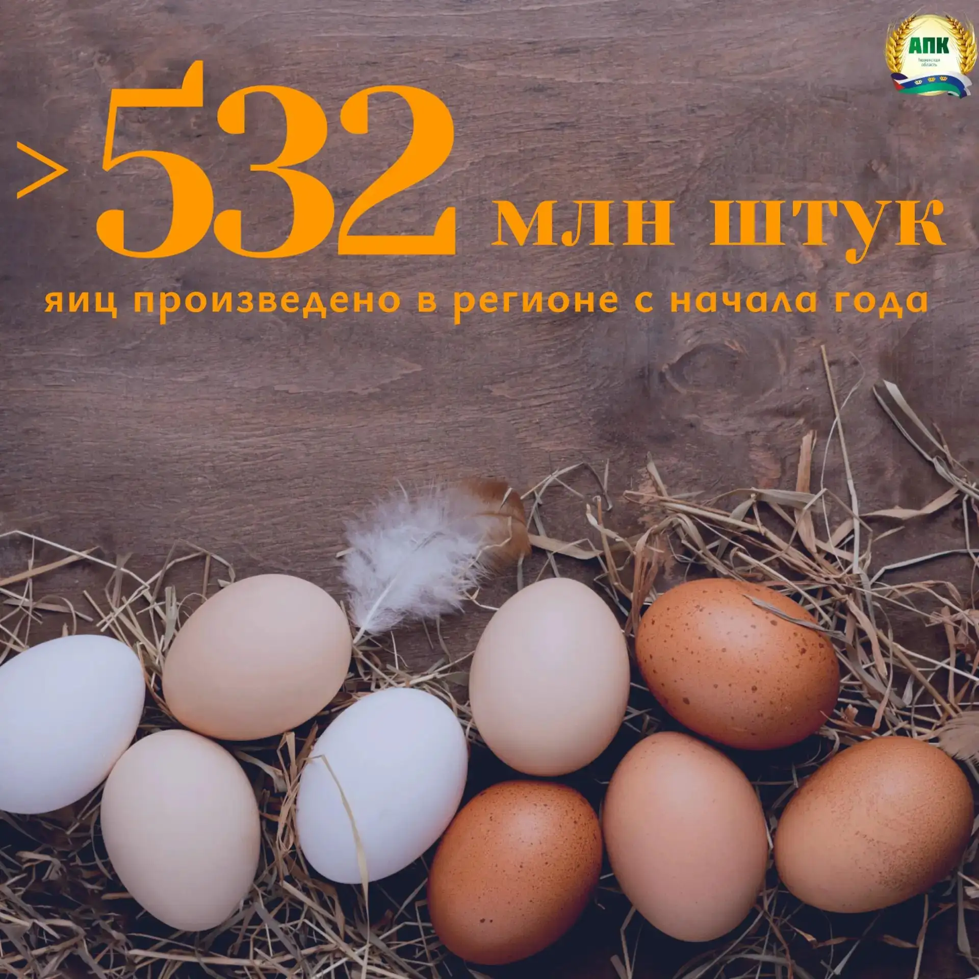 Более 532 миллионов яиц произведено в Тюменской области с начала года 
⁣
🐣На сегодняшний день птице