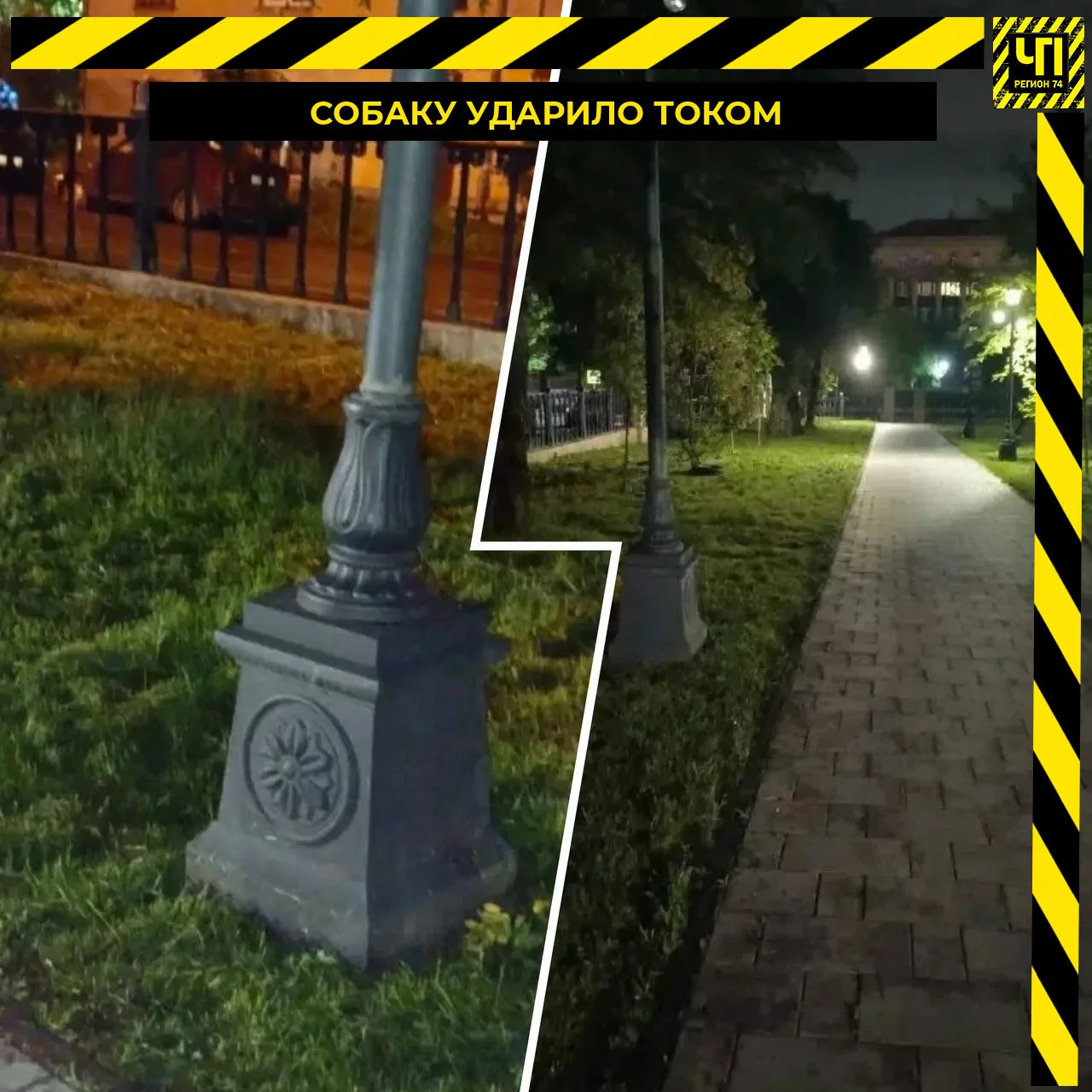 ⚡ Собака едва не погибла от удара током в парке