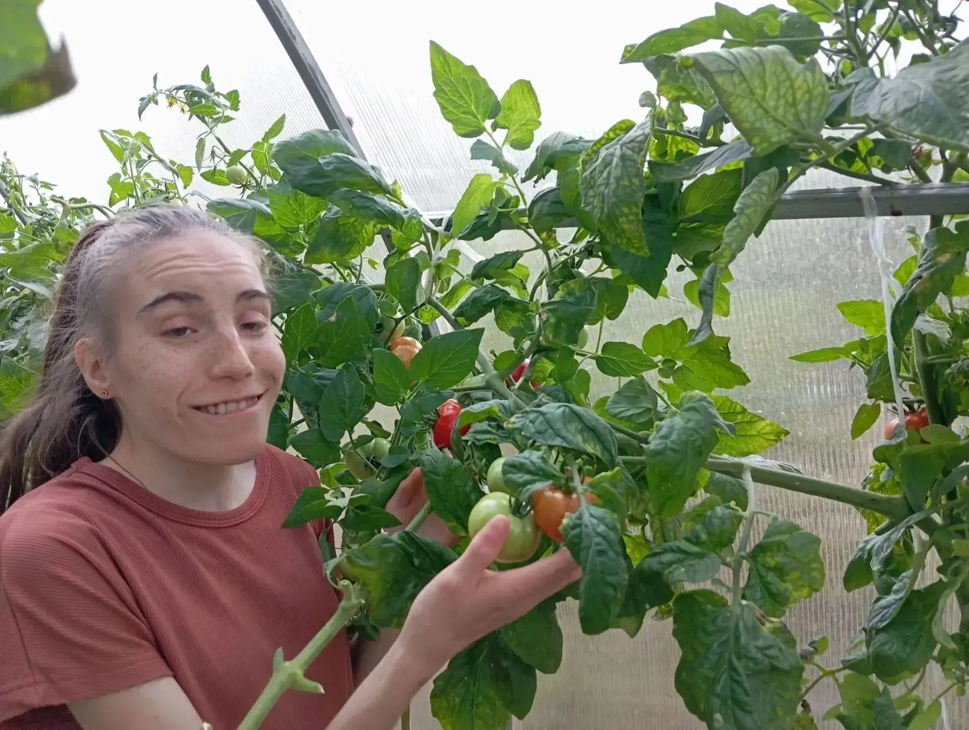Сентябрь - сбор урожая продолжается! 🍅🥒🌶🫑🍉