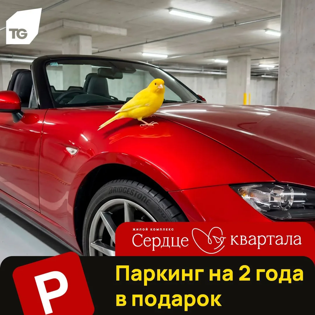 Возвращение акции, которую все ждали🚗🎉