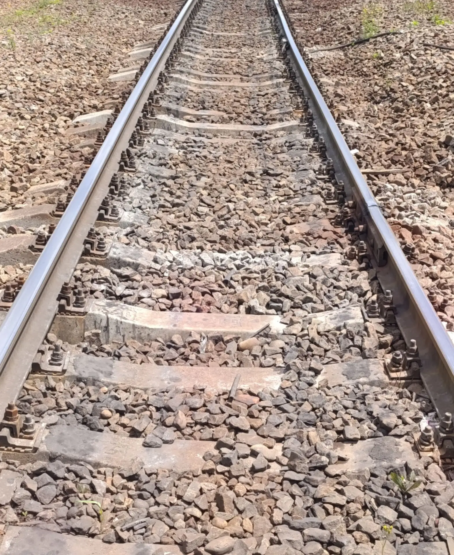 🚆 Секунды могли решить всё: «Ласточка» экстренно остановилась под Сочи