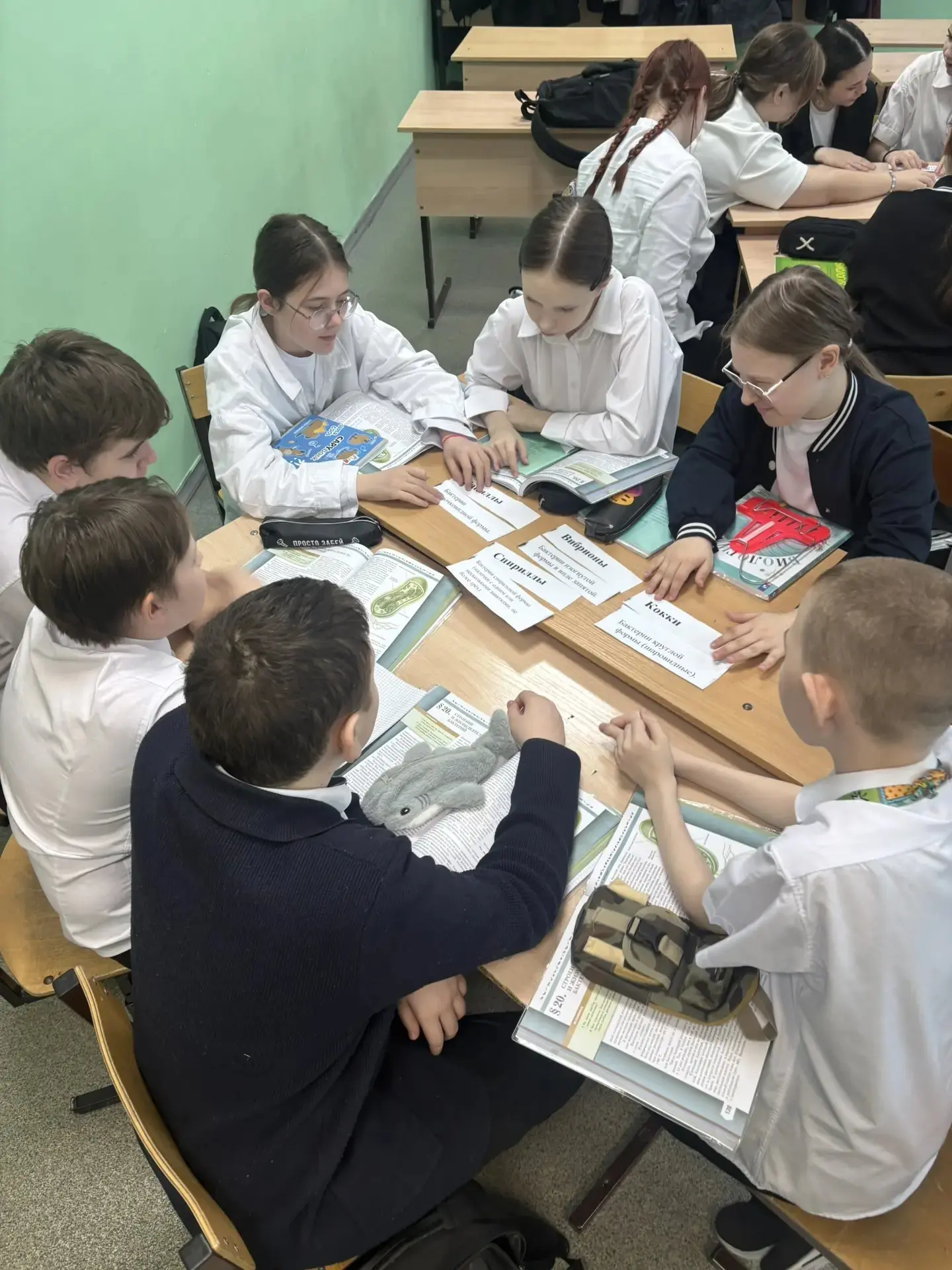 🦠 ОНИ ВЕЗДЕ: Как учащиеся 7- го класса прошли сквозь «Удивительный мир бактерий»  Сегодня в 7-х клас
