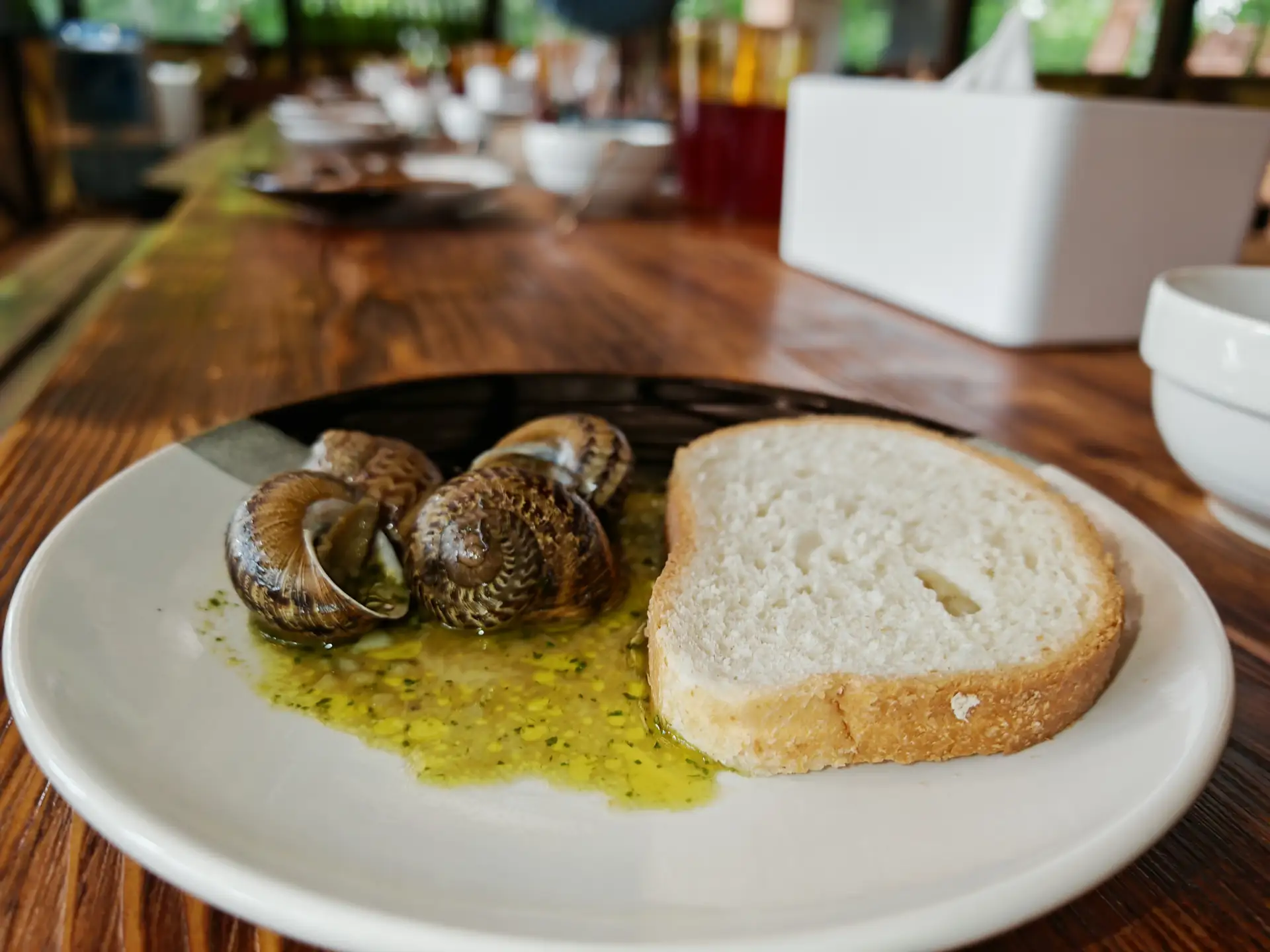 🐌 А вы уже были на улиточной ферме?