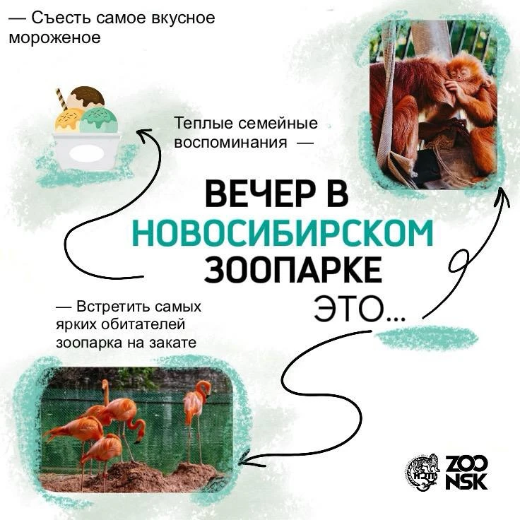 Вечером зоопарк становится особенно уютным и очень комфортным для прогулок ❤️