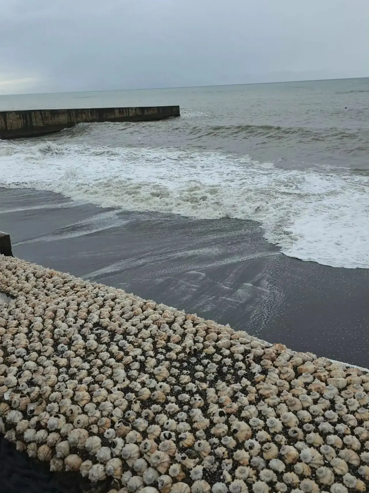 🐚 Ракушечный пляж в Адлере, которого на самом деле нет