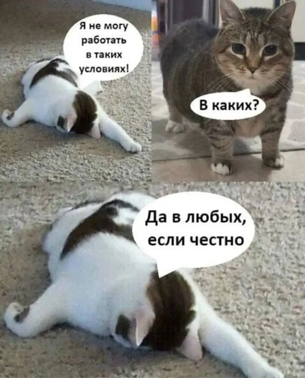 Женщины в России в среднем тратят 5,6 месяца на поиск работы, а мужчины - 4,4 месяца.