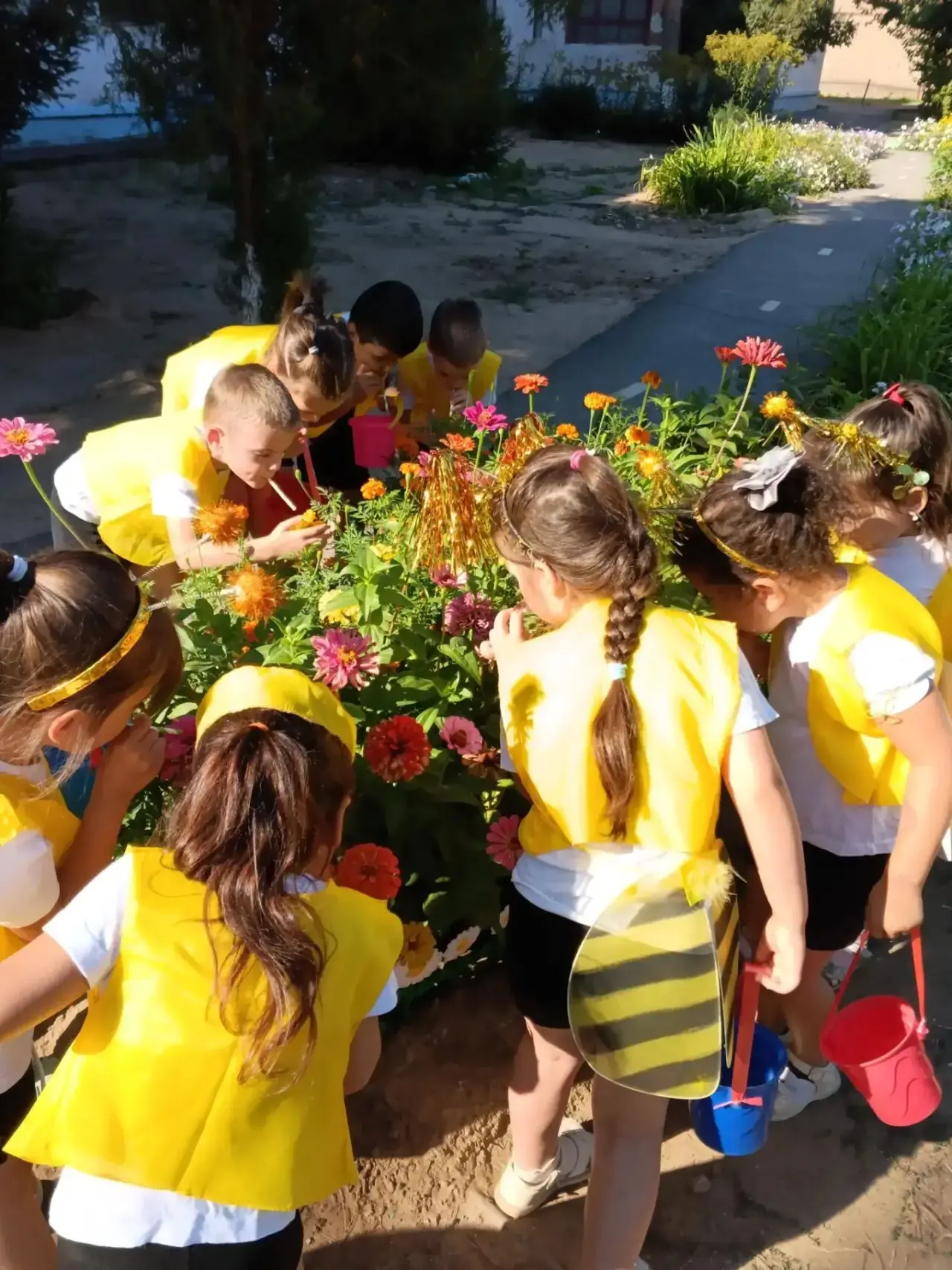 🍯🐝День мёда в старшей группе🐝🍯