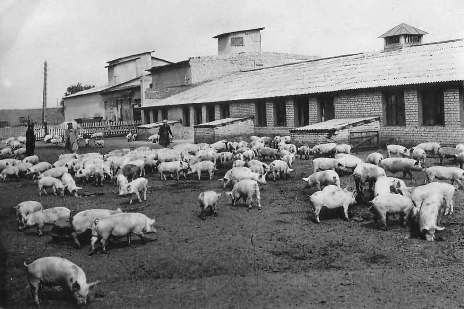 50 ЛЕТ НАЗАД В ТАМБОВСКОЙ ОБЛАСТИ