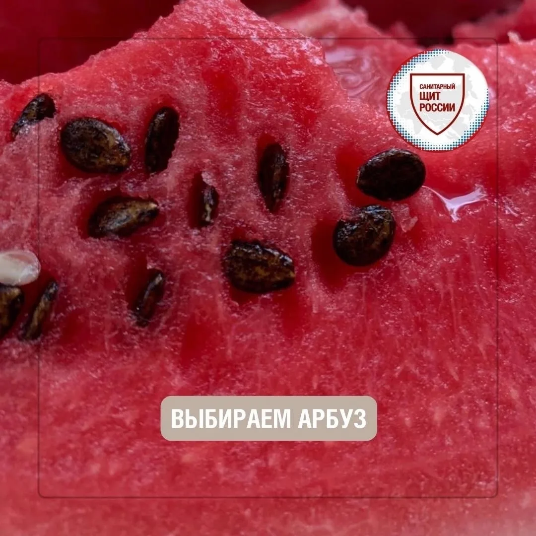 Арбуз 🍉 – один из самых популярных летних продуктов, особенно в жаркую ☀ погоду.