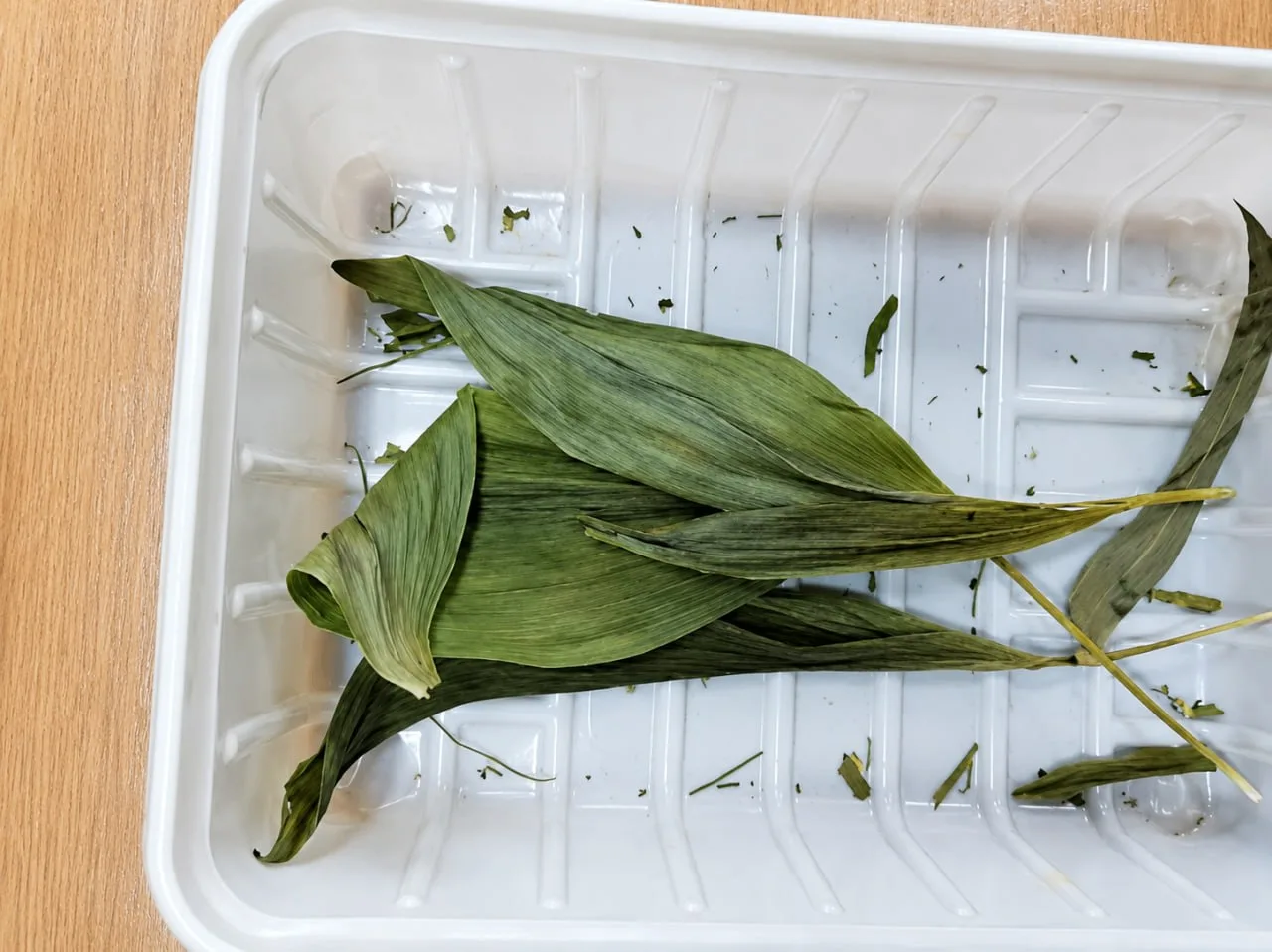 ❓ Листья какого растения изображены на фото

👻 Майник двулистный (Folia Maianthemum bifolium)

⛄️ Л