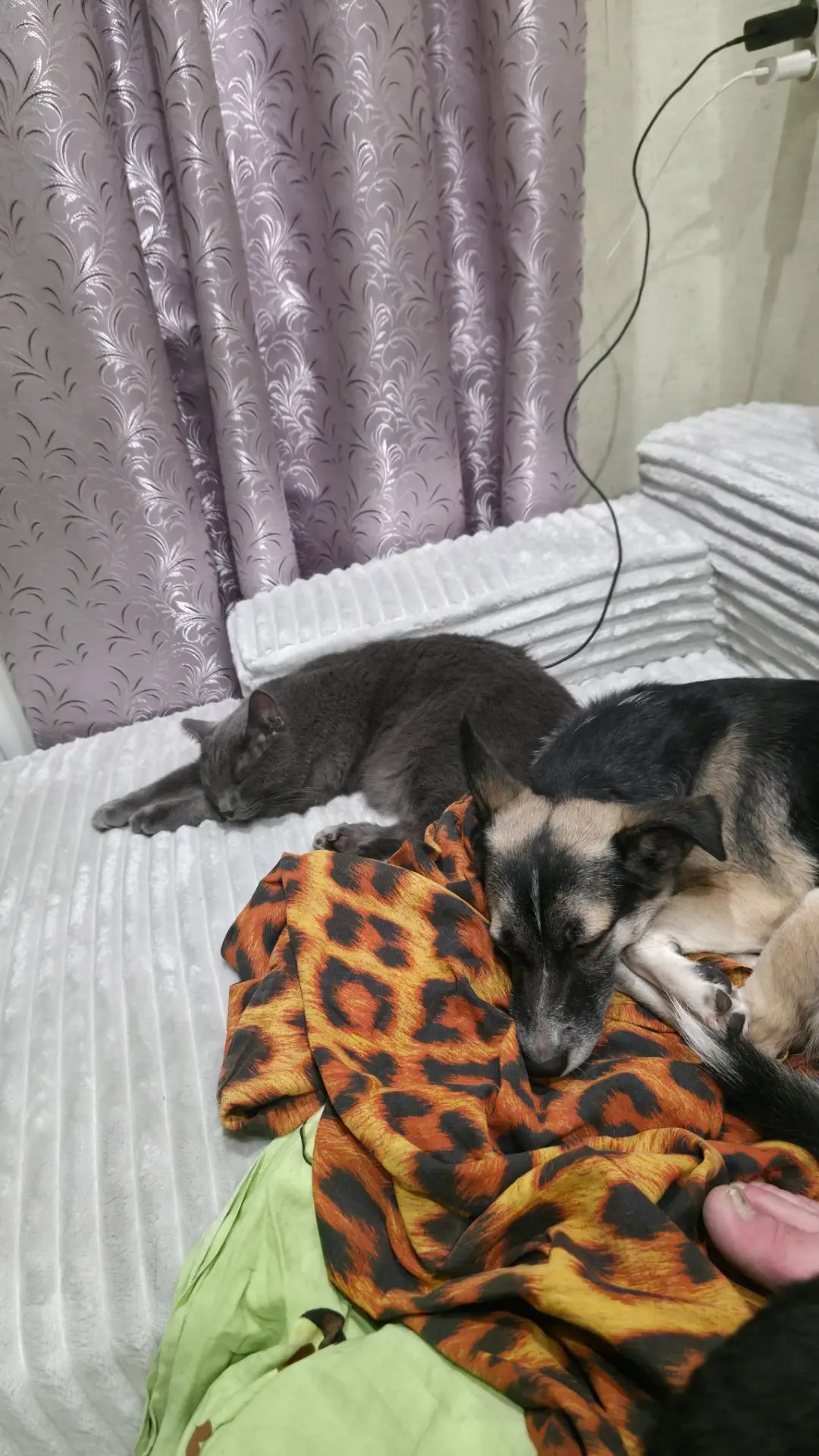 Устали раскладывать вещи 😊