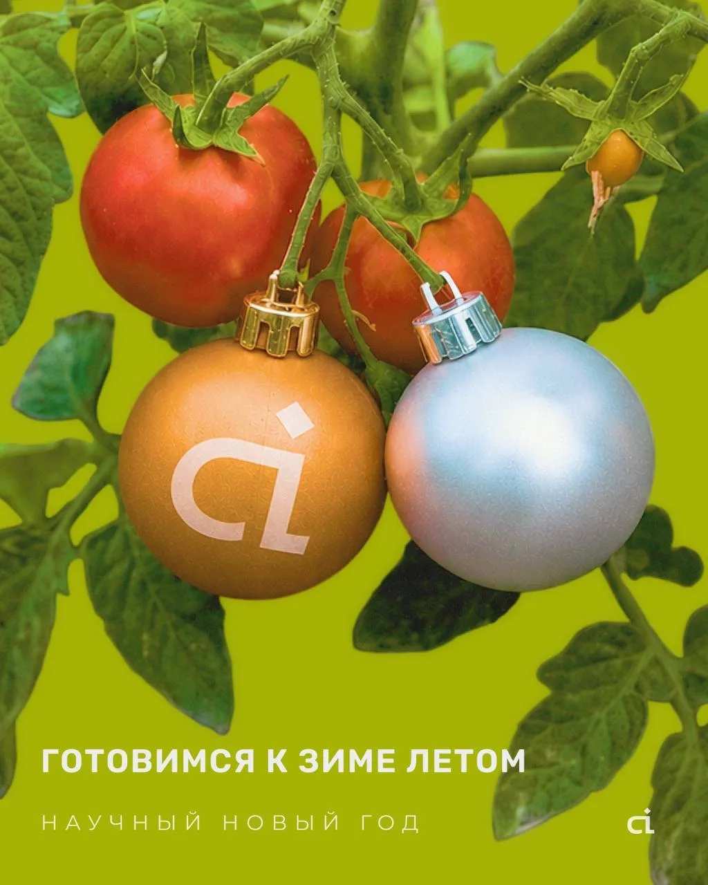 Пора подумать о Новом годе 🎄