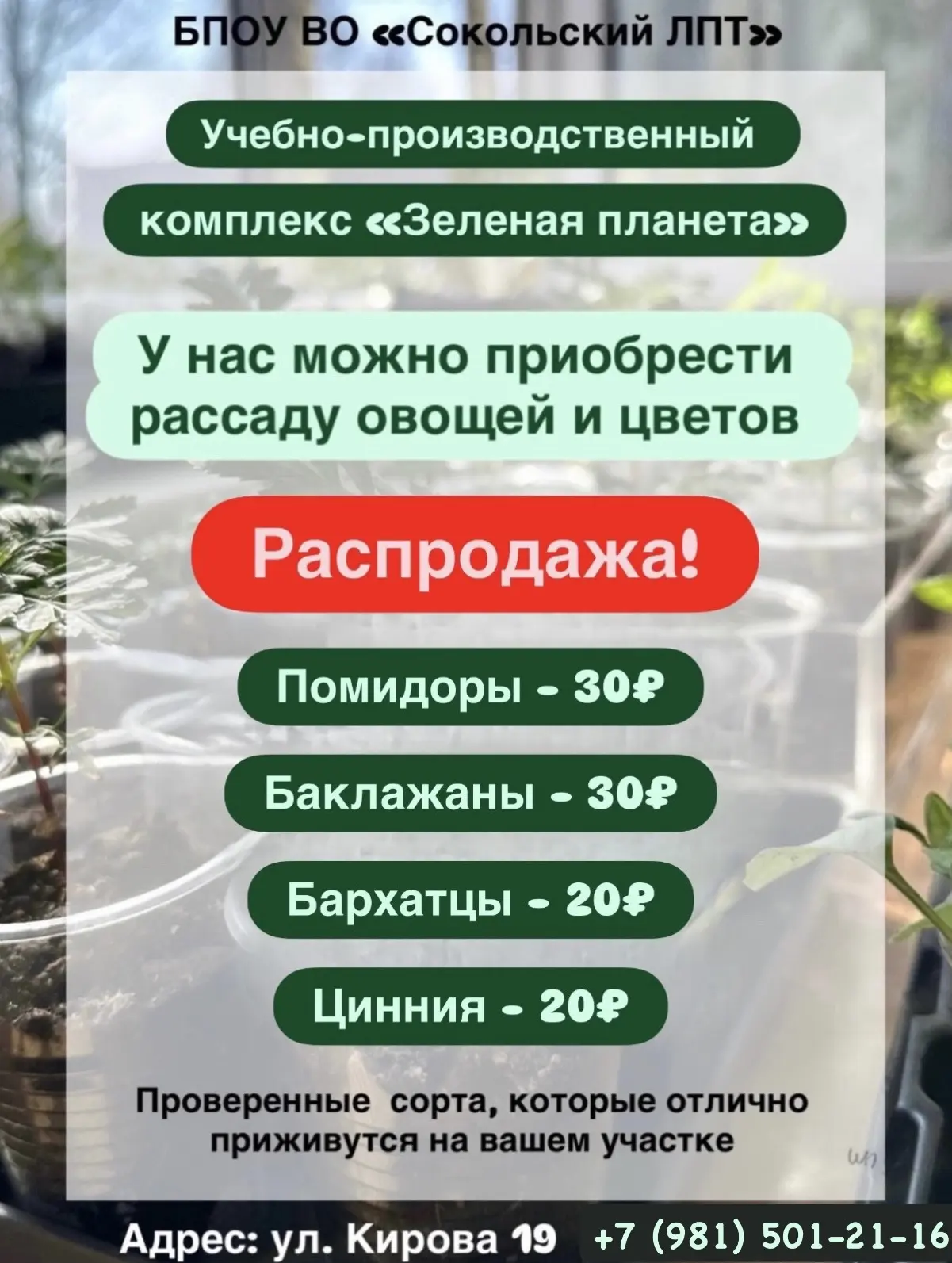 🌿 Внимание, садоводы!

В эту пятницу, 15 мая, состоится распродажа рассады!

📍 Адрес: ул. Кирова, 