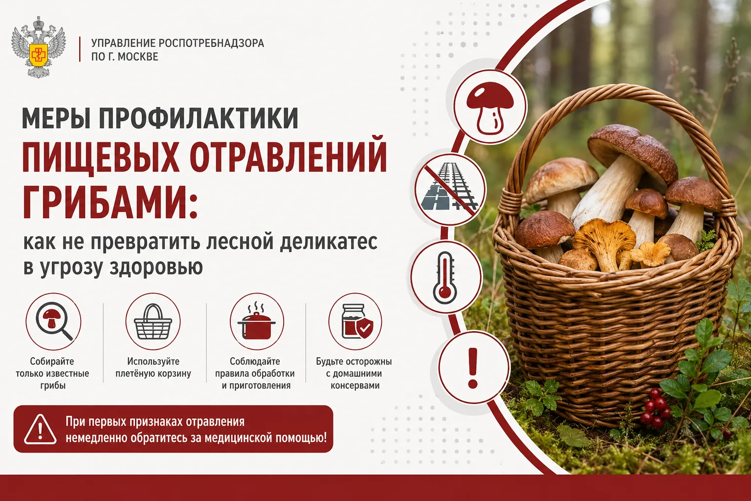 Меры профилактики пищевых отравлений грибами: как не превратить лесной деликатес в угро...