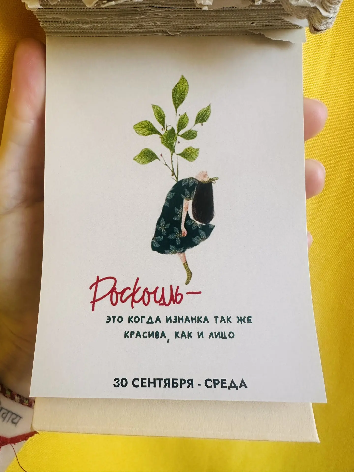 Добрый день!🙏