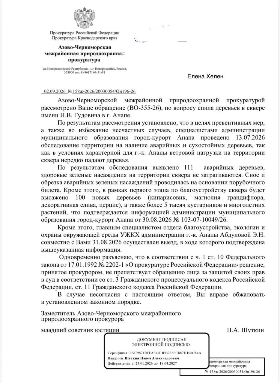 АНАПЧАНКА Получила официальный ответ прокуратуры по спилу деревьев в сквере Гудовича:
