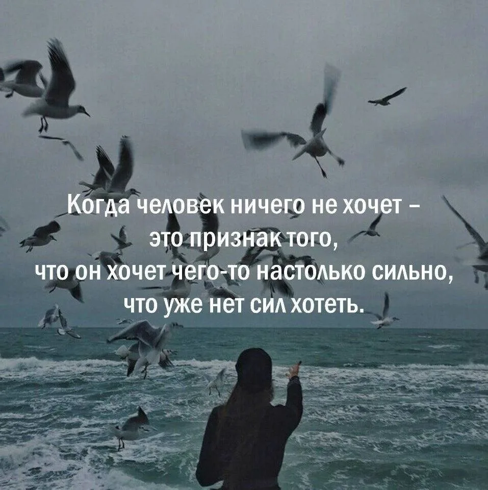 Народная мудрость
Все каналы