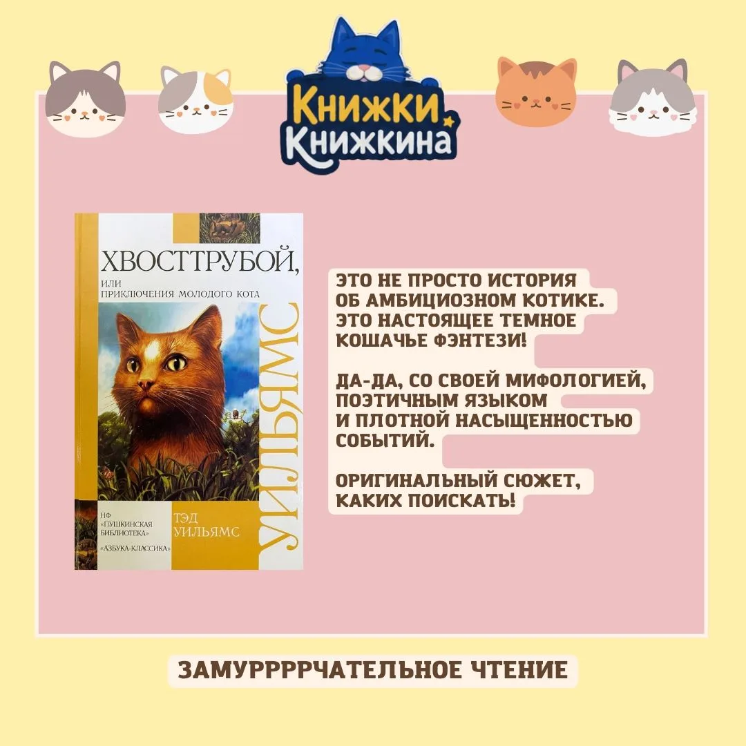 😻Муррр! Сегодня все котики принимают ваши поздравления! Как с чем? Сегодня же 8 август...
