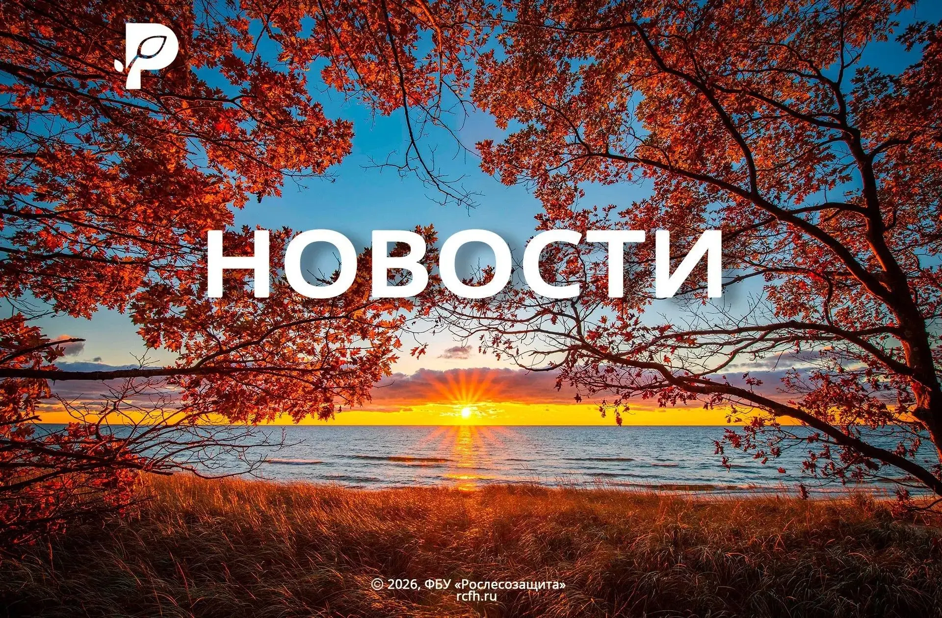 🟢 Лесу – чистые тропинки!