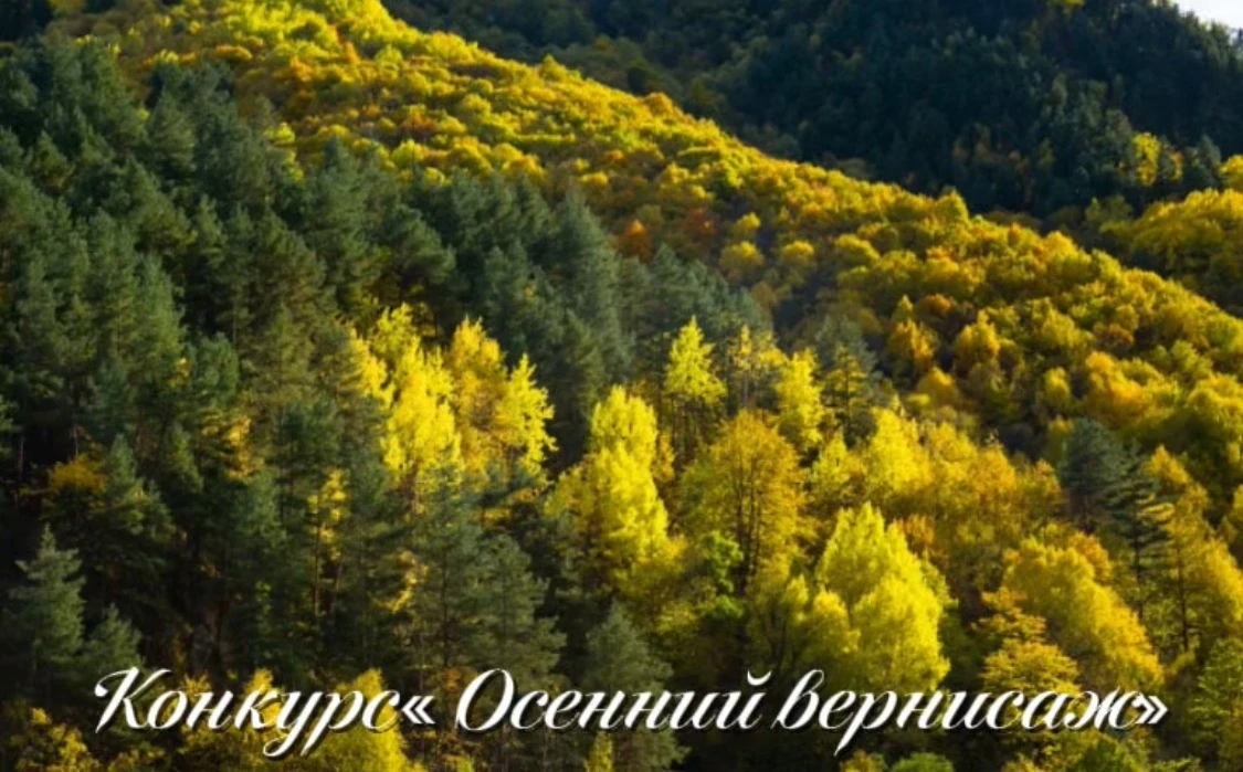 «Осень — волшебное время года»