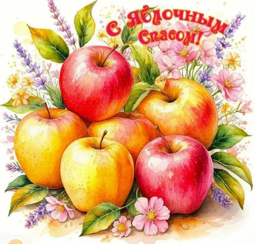 🍎🍏Дорогие воспитанники, тренеры, родители и все подписчики нашей спортивной школы!