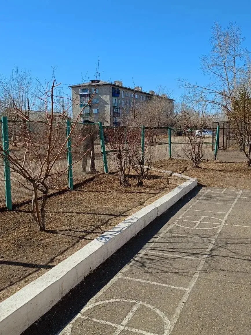 Весенний субботник: Пробуждение школы к жизни! ☀️Сегодняшний день был наполнен особенным теплом – не
